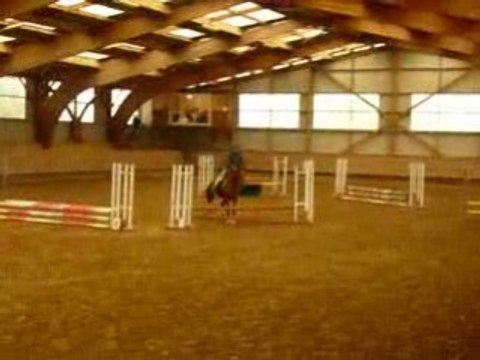 Obi cat & yohan concours lagesse