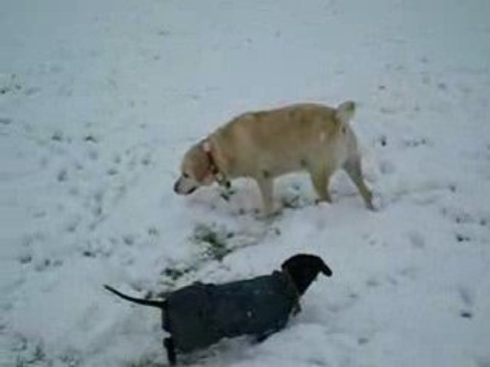Sarah se roule dans la neige
