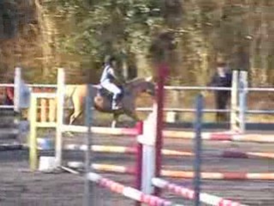 Manon et douchka la chute
