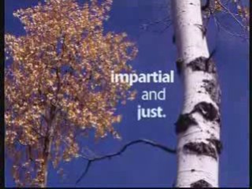 employee motivation performance