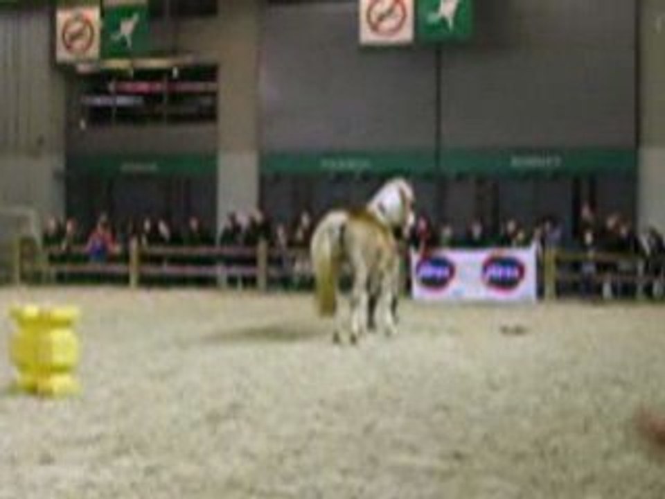 Pauline et Naiade (3) salon du cheval 2008