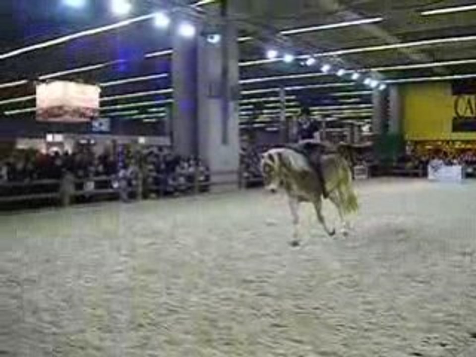 DSCF0426