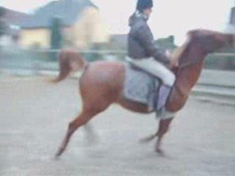 Z0ltan&Moi