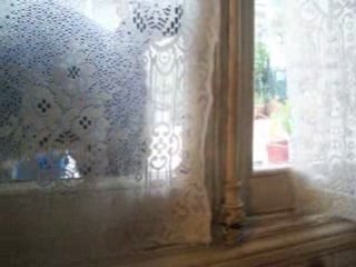 jackson-chattanooga 26 nov 2008 les matous - 2