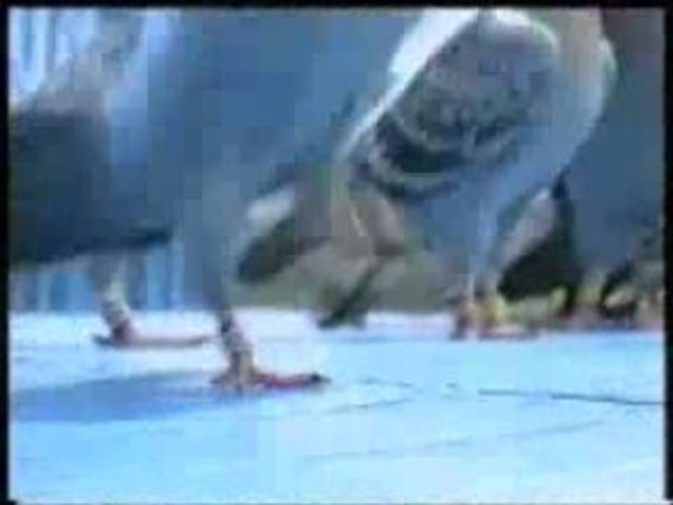 Palomas en Taiwan, Parte 1/3