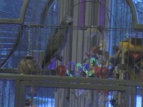 Un ptit bisou à maman