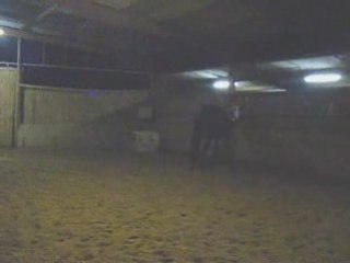 Quiss my des orcets 29 novembre 2008 jour de l'achat :D