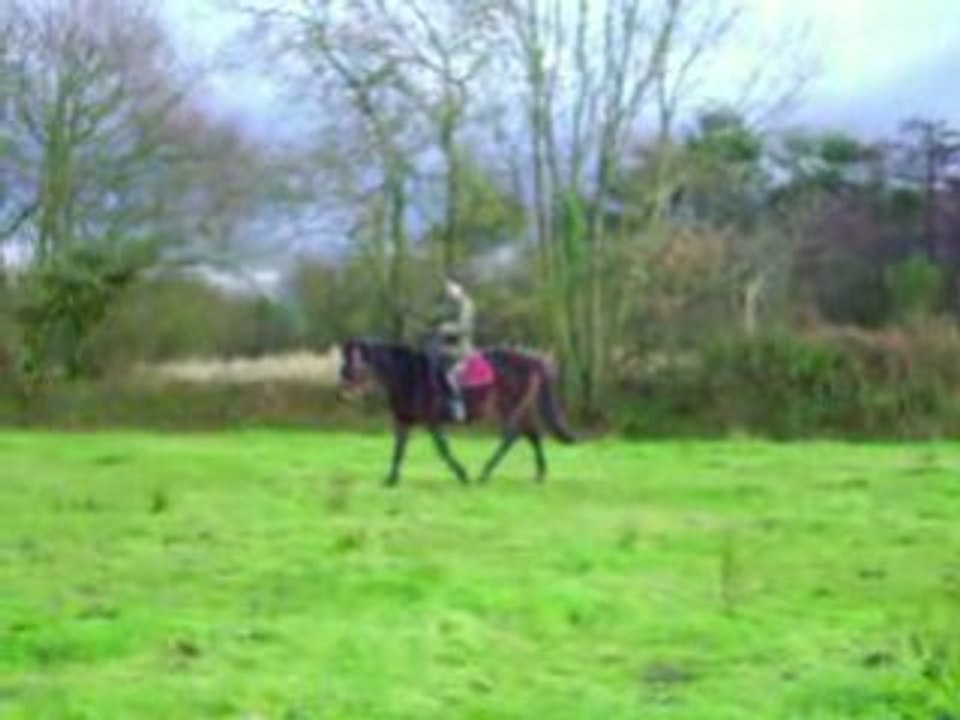 Tir à l'arc? C'est pas gagné!