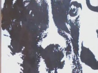 L'incroyable mésaventure de Mr Max et Mme Paulette