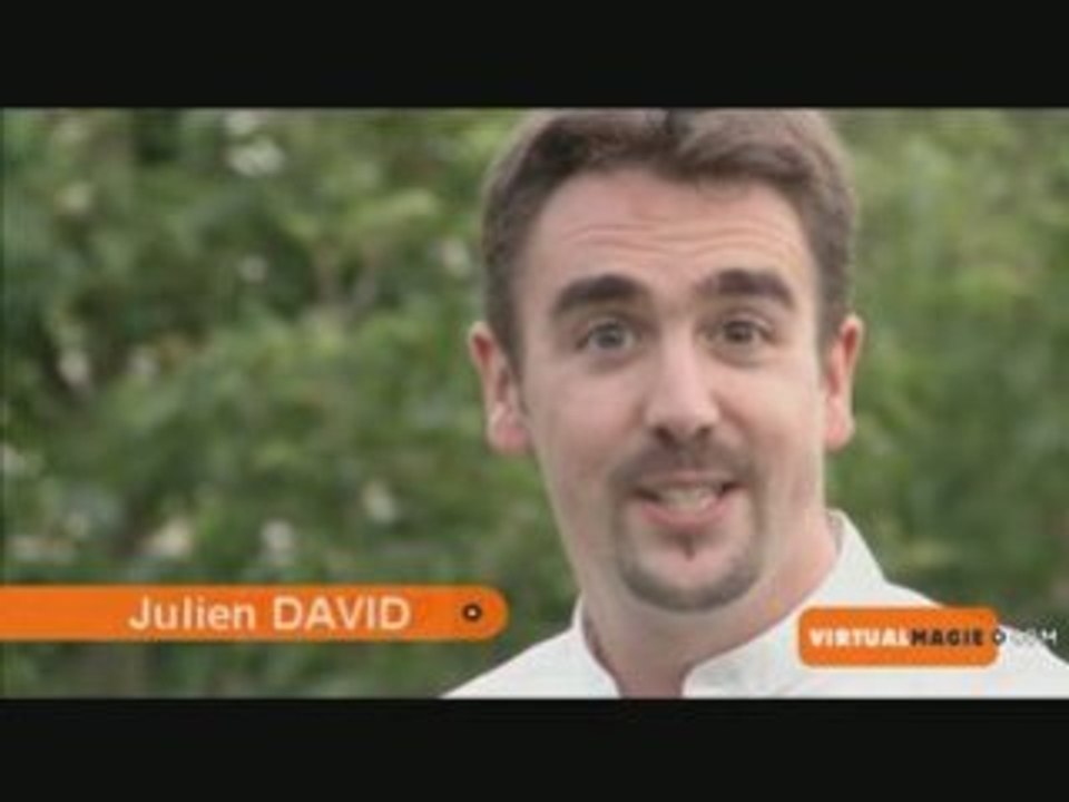 Le Jeu de la Marguerite de Julien DAVID