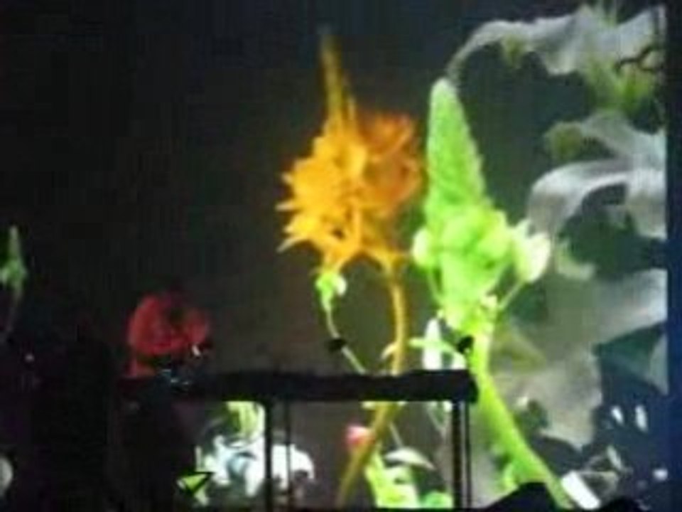DJ Shadow at Bonnaroo 2007, clip 1