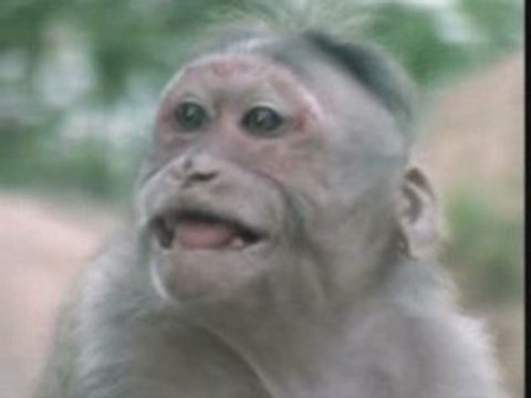 Interdiction de fumer - Moulin & Guingouin - LVPDA