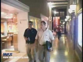 Executive Protection Services