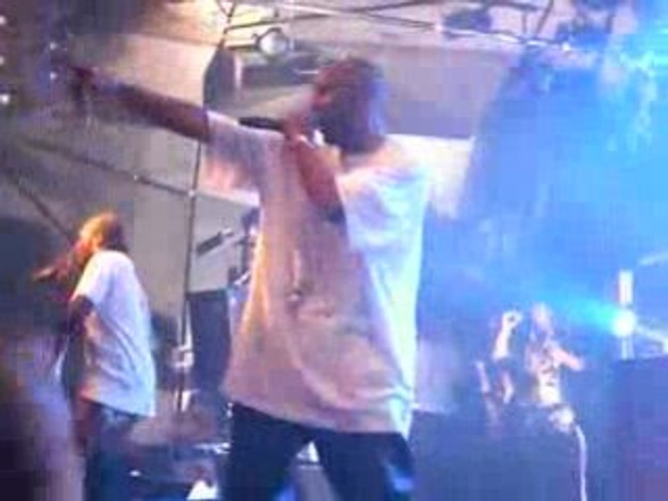 Busta flex le boule LIVE