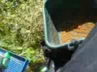 belle peche en saone juju le ouf 2