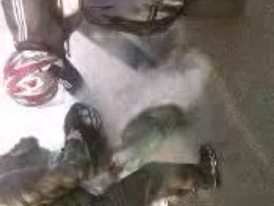 Vidéo0013