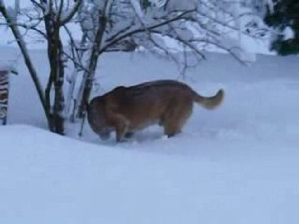 Tous dans la neige!