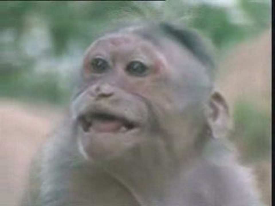 Le concours de doublage