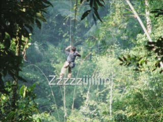 Laos : Maison dans les arbres