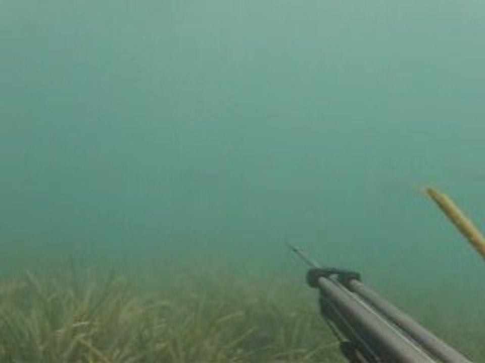 Spearfishing - Mustafa Paker Kefal-Mullet Avı #3