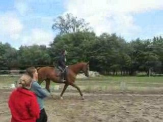 Hibou travail au trot