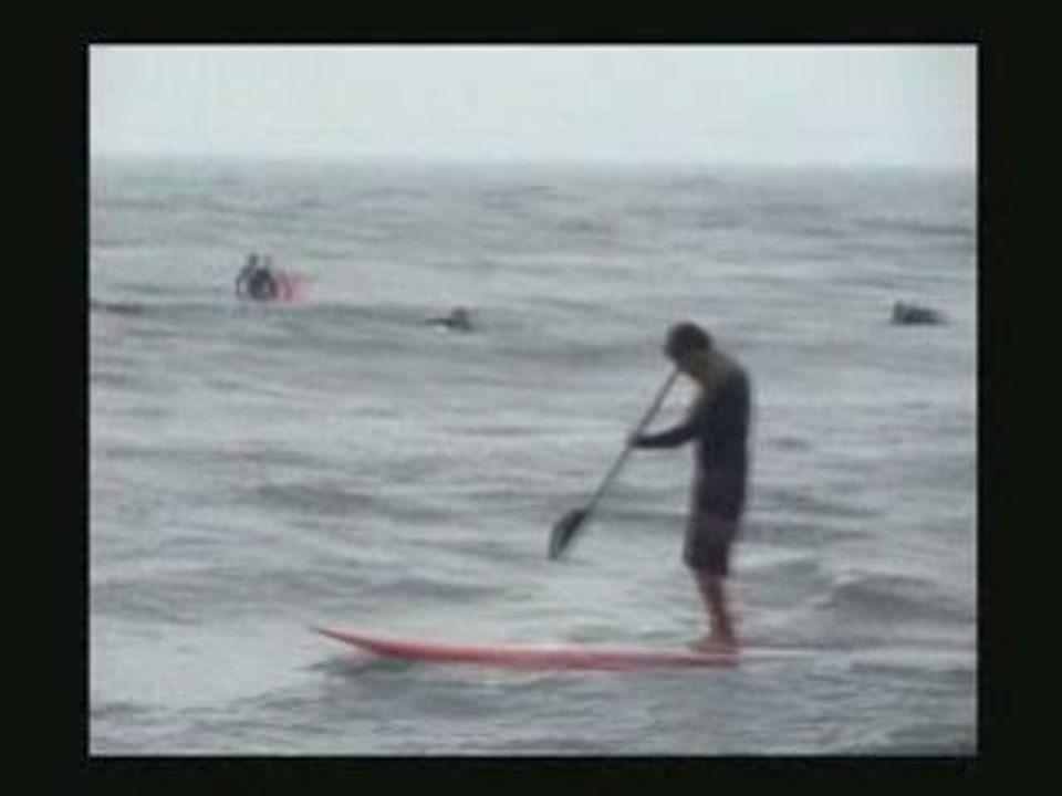 Surf - Septembre 08 à Palavas