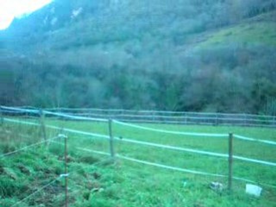 les vacances des petits