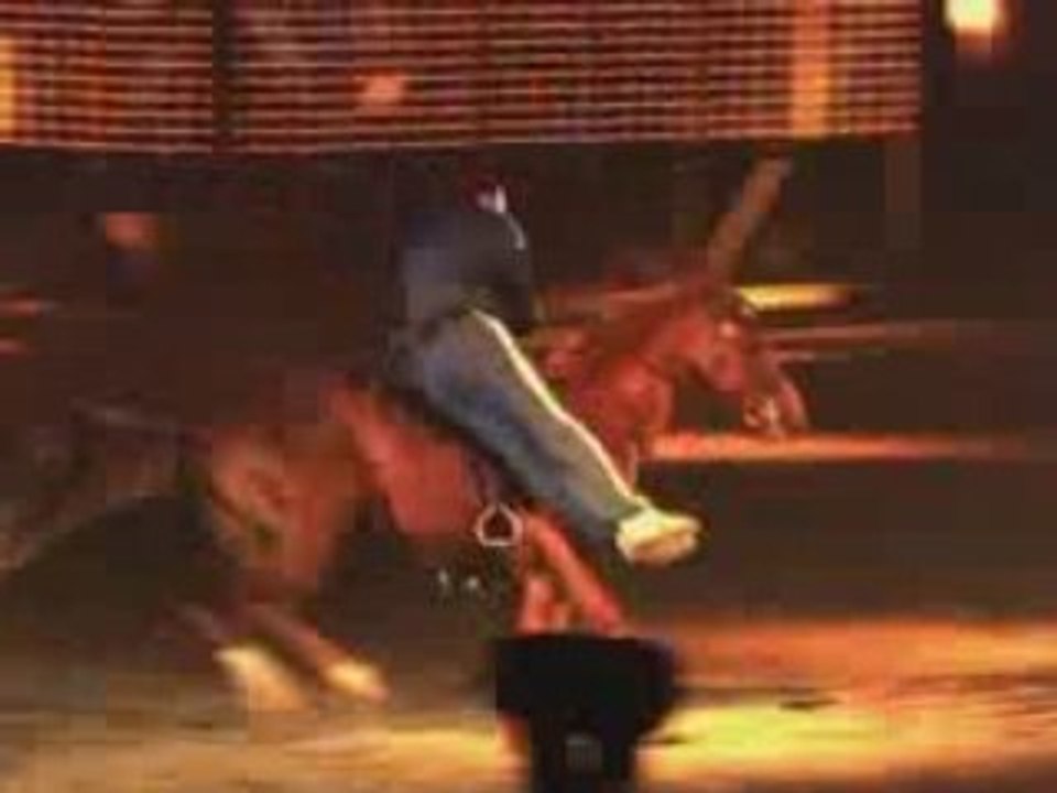 Apassionata L'Envolee