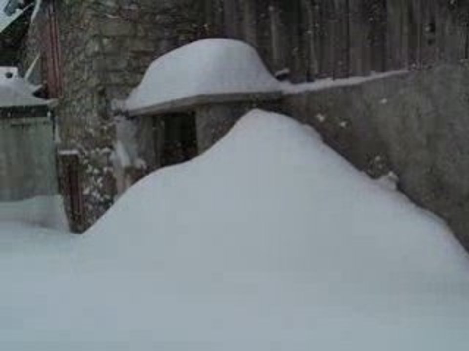 Neige de fin d' année