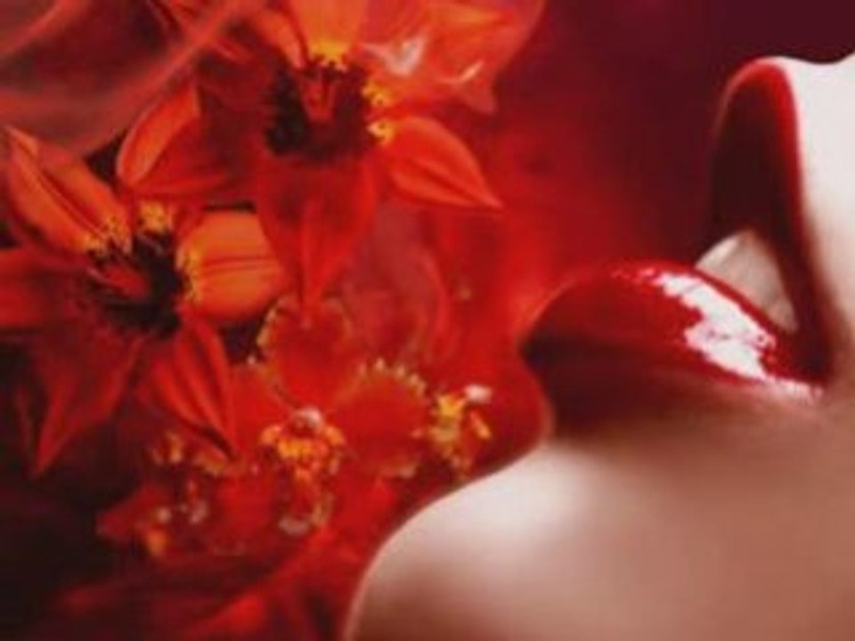 je t'apprendrai l'amour