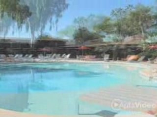 ForRent.com Solara at Mill Avenue Apartments in Tempe, AZ