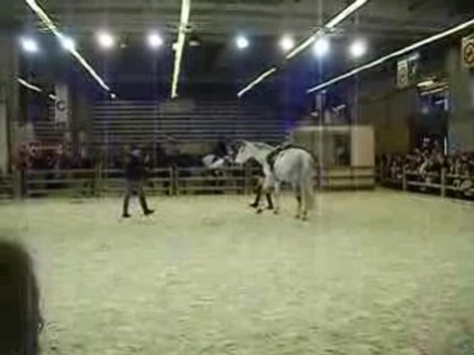 DSCF0415
