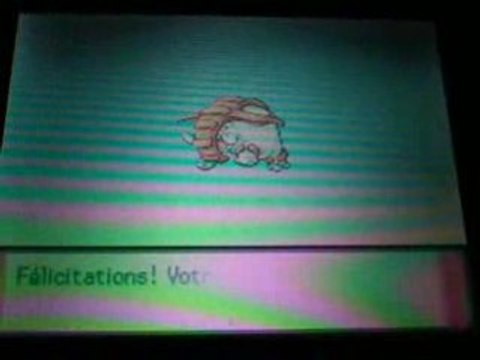 Phampy Shiney évolue en Donphan...Shiney !