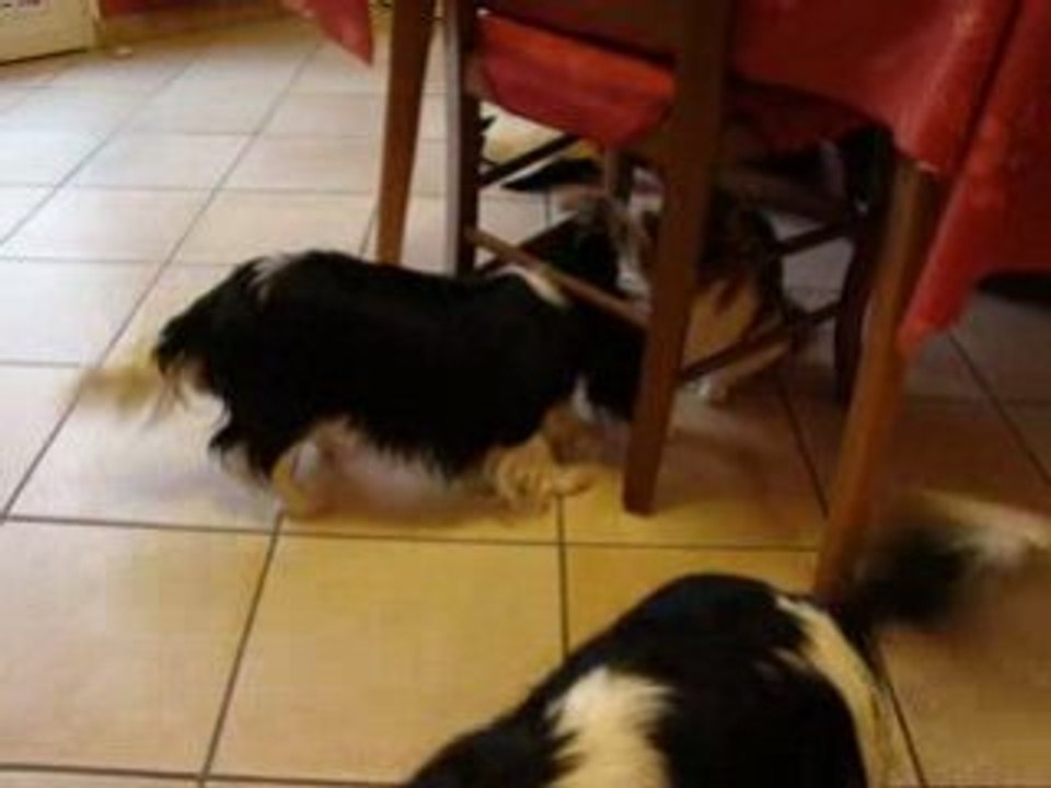 Clélia & Cannelle (2)