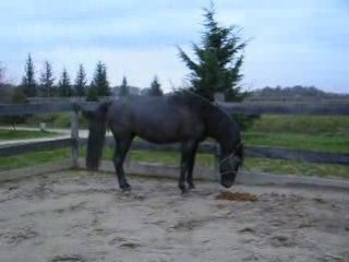 Quiator a fond!Dec 08