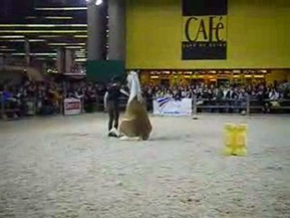 DSCF0429