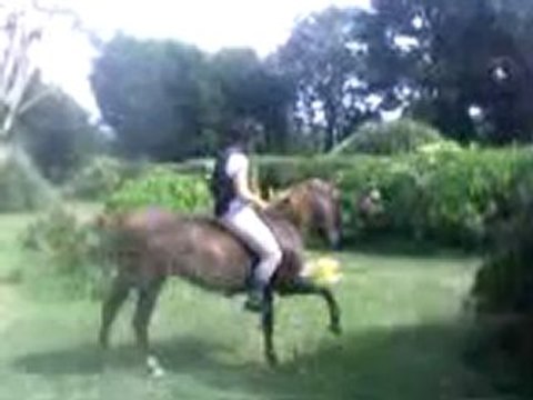 Vodka pas espagnol monté