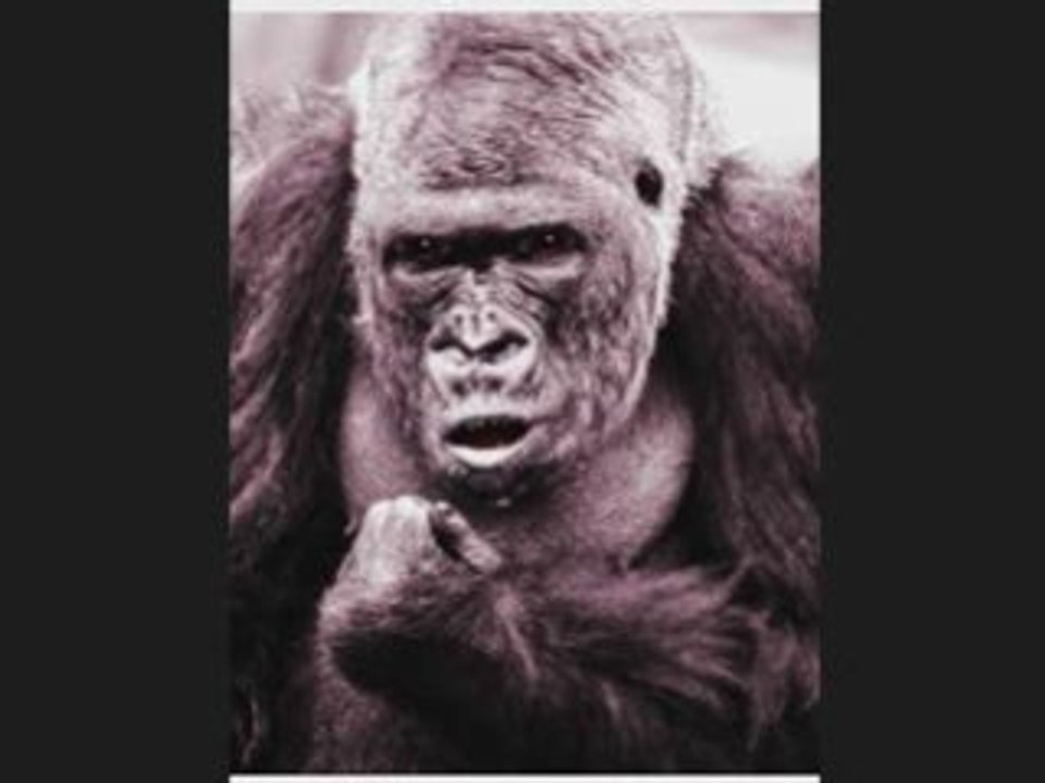 THE GUERRILLA GROWER SHOW - Part Five