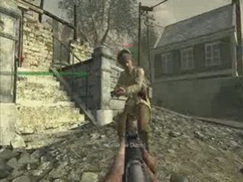 rifle only cod5 RYAN31