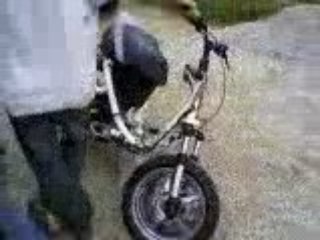 scoot a momo en reglage