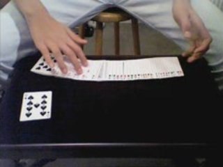 Sandwich Card Transpo