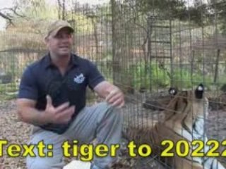 Help rescue a LIGER and 2 TIGERS!