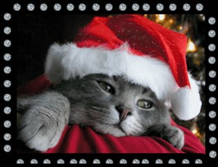 Wesołych Świąt! De les Fêtes gais! Merry Christmas!