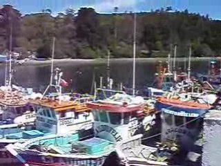 Las gaviotas de Angelmo