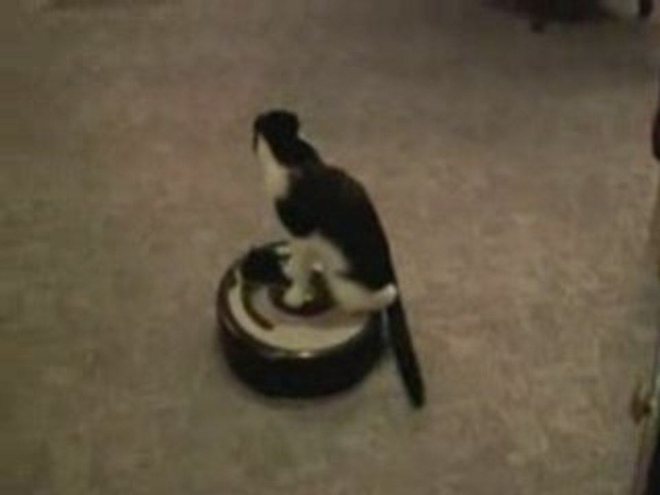 Roomba Driver