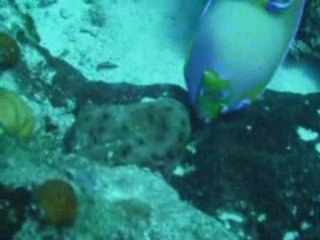 200000 Millimetres under the sea