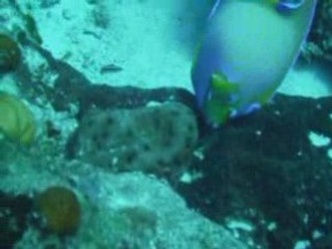 200000 Millimetres under the sea