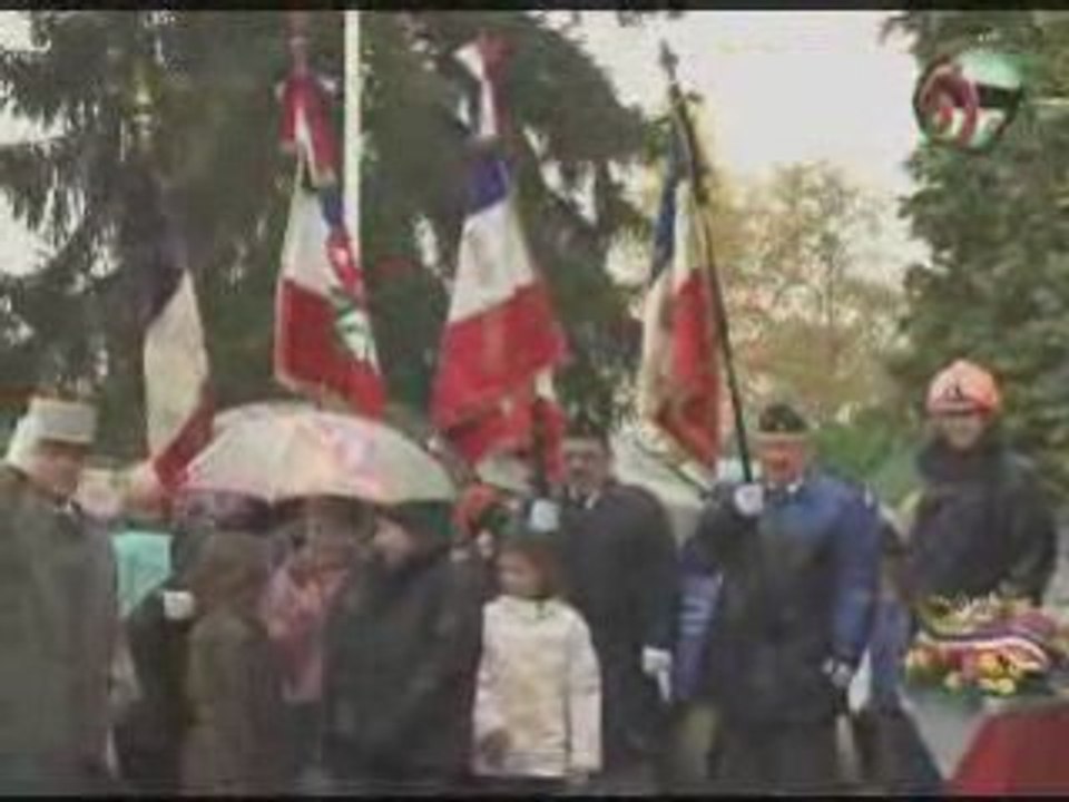 11 novembre 2008