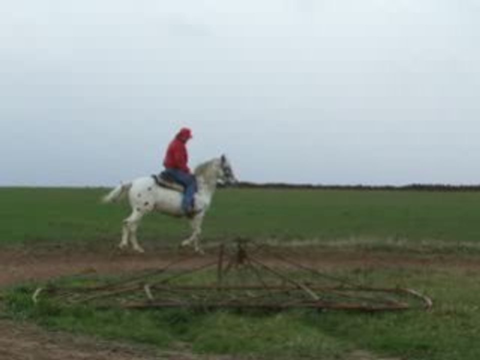 sauk toburu nov 2008