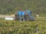 Vendanges 2007 à Chablis- Domaine Daniel Defaix